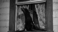«Порождение севера (1938)» — обои к фильму #4