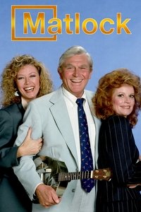 Movie poster of Matlock