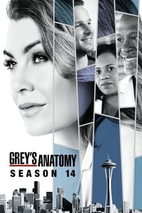 Grey's Anatomy - Season 14