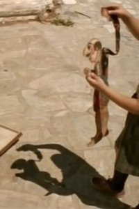 Poster de Στη σκιά