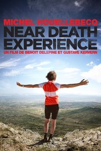 Near death experience (2014)