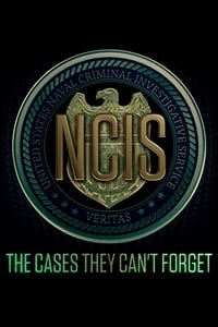 tv show poster The+Cases+They+Can%27t+Forget 2017