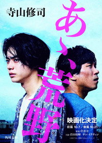 Wilderness Collection