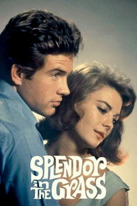 Постер фильма «Великолепие в траве (1961)» — (18 из 32)