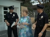 S03E13 - (1971)