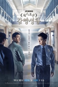 copertina serie tv Prison+Playbook 2017