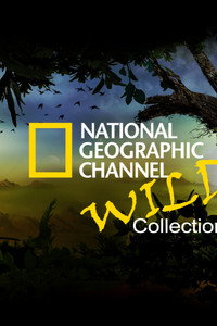 National Geographic Channel: Wild