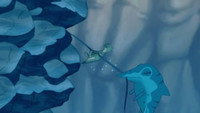 The Missing Fast Water Adventure