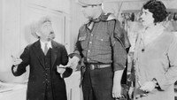 «Ее приятель (1928)» — обои к фильму #1