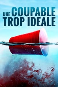 Une coupable trop idéale (2023)