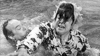 «El picnic de los Campanelli (1972)» — обои к фильму #1