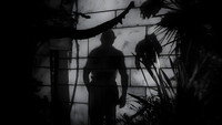 Обои к фильму «Остров потерянных душ (1932)» — (13 из 32)