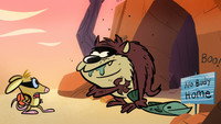 «Taz: Quest for Burger (2023)» — обои к мультфильму #1