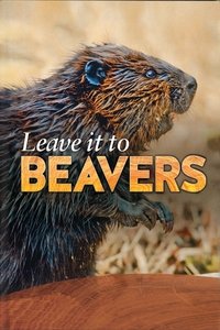 Poster de Leave it to Beavers