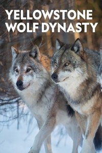 copertina serie tv Yellowstone+Wolf+Dynasty 2018