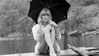 «Морган: Подходящий клинический случай (1966)» — обои к фильму #2