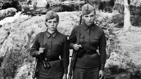 Обои к фильму «...А зори здесь тихие (1972)» — (18 из 37)