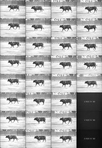movie-images
