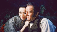 «Варвар и гейша (1958)» — обои к фильму #1