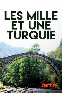 Les Mille et une Turquie (2015)