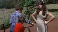 «Сын проститутки (1981)» — обои к фильму #1