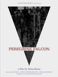 Peregrine Falcon