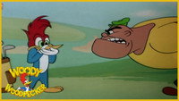 «Woodpecker in the Rough (1952)» — обои к мультфильму #1