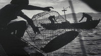 «Минамата: Жертвы и их мир (1971)» — обои к фильму #2