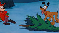 «Новогодняя елка Плуто (1952)» — обои к мультфильму #2