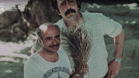 «Шелковица (1980)» — обои к фильму #1