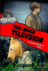 Too Much Television (2025) poster