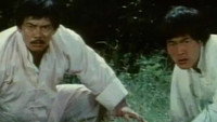 «Непобедимый Брюс Ли (1978)» — обои к фильму #1