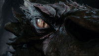 Le Hobbit : La Désolation de Smaug