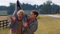 Dumb & Dumber De