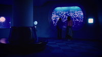 Evidence of the Deep Sea
