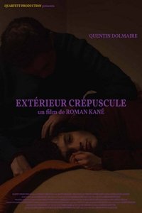 Extérieur crépuscule (2020)