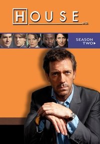 House S02E13