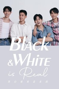 Poster de 黑白原來是真的
