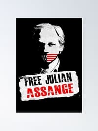Julian Assange: Chronik einer Spionageaffäre