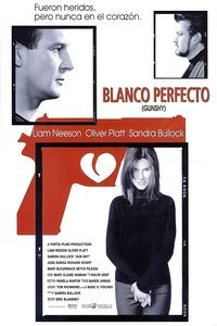 Poster de Gun Shy