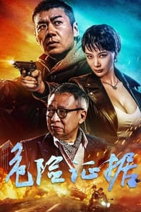 Poster de 危险证据