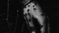 Обои к фильму «Алмазы ночи (1964)» — (11 из 25)