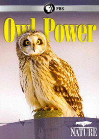 Owl Power