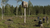 «Den längsta dagen (2020)» — обои к фильму #4