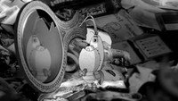 «I Love Hitchcock (2014)» — обои к мультфильму #1