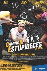 Poster de Camino De Estupideces