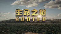 «От корня до кроны: тайны деревьев (2018)» — обои к сериалу #1