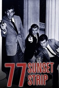 tv show poster 77+Sunset+Strip 1958