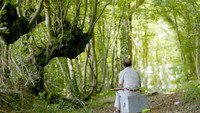 «Trognes: Les arbres aux mille visages (2017)» — обои к фильму #1