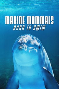 poster_Marine Mammals - Born to Swim